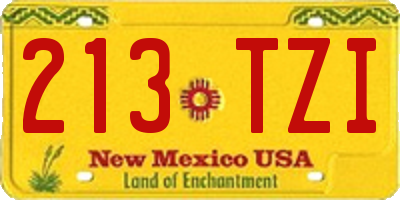 NM license plate 213TZI
