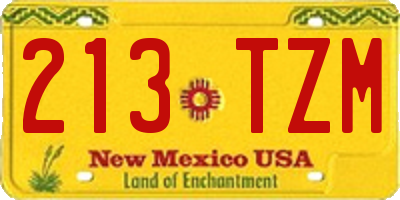 NM license plate 213TZM