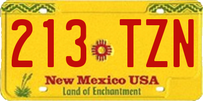 NM license plate 213TZN