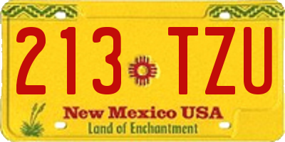 NM license plate 213TZU