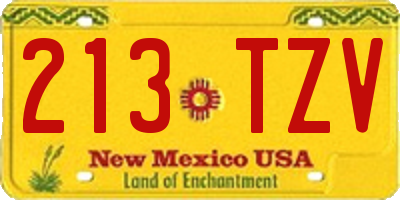 NM license plate 213TZV