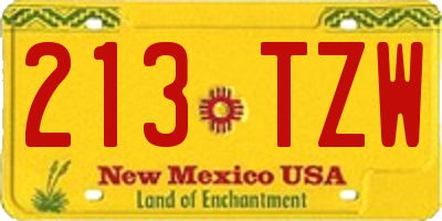 NM license plate 213TZW