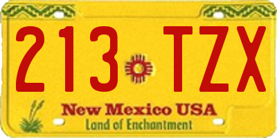 NM license plate 213TZX