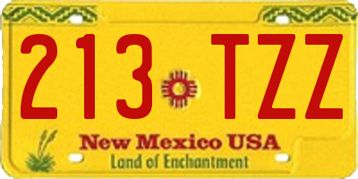 NM license plate 213TZZ