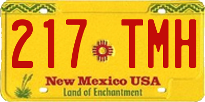 NM license plate 217TMH