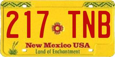 NM license plate 217TNB