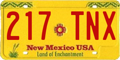 NM license plate 217TNX