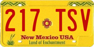NM license plate 217TSV