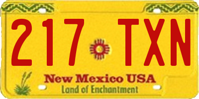 NM license plate 217TXN