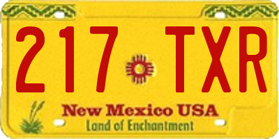 NM license plate 217TXR