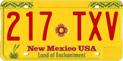 NM license plate 217TXV