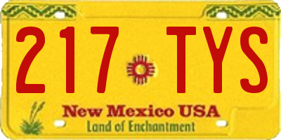 NM license plate 217TYS