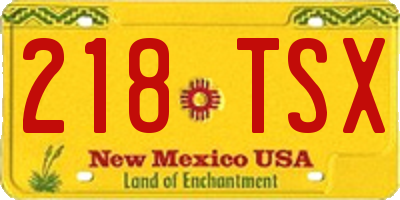 NM license plate 218TSX