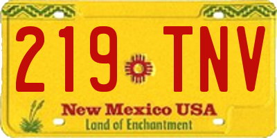 NM license plate 219TNV
