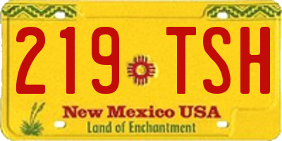 NM license plate 219TSH