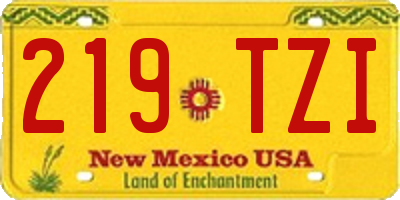 NM license plate 219TZI