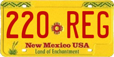 NM license plate 220REG