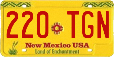 NM license plate 220TGN
