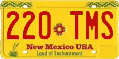 NM license plate 220TMS