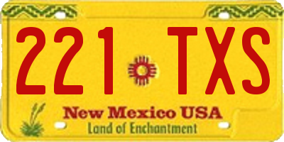 NM license plate 221TXS