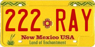 NM license plate 222RAY