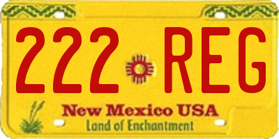 NM license plate 222REG