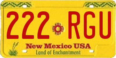 NM license plate 222RGU