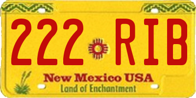 NM license plate 222RIB
