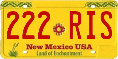 NM license plate 222RIS