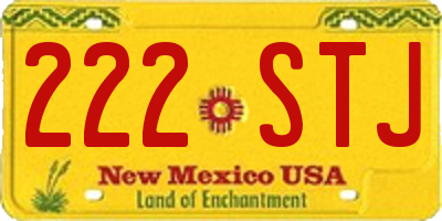 NM license plate 222STJ