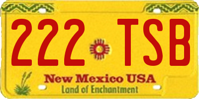 NM license plate 222TSB