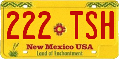 NM license plate 222TSH