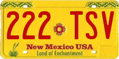 NM license plate 222TSV