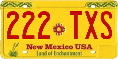 NM license plate 222TXS