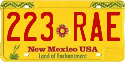 NM license plate 223RAE