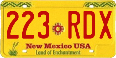 NM license plate 223RDX