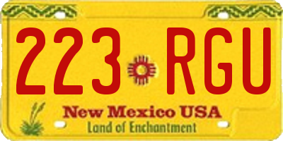 NM license plate 223RGU