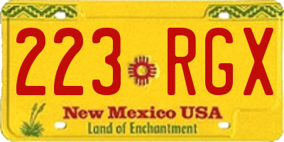 NM license plate 223RGX