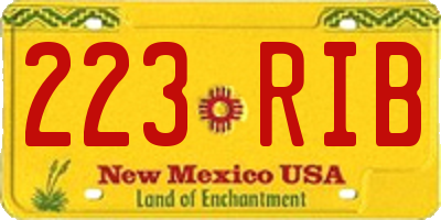NM license plate 223RIB