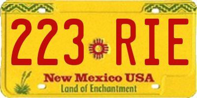 NM license plate 223RIE