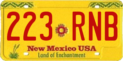 NM license plate 223RNB