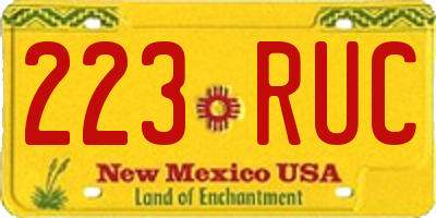 NM license plate 223RUC
