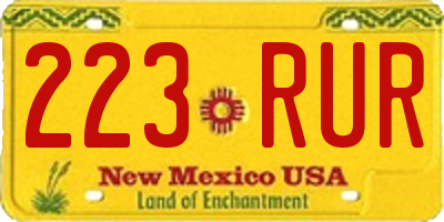 NM license plate 223RUR