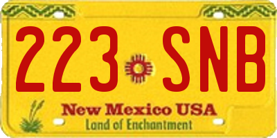 NM license plate 223SNB