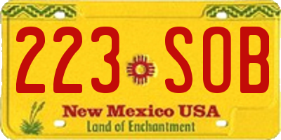 NM license plate 223SOB