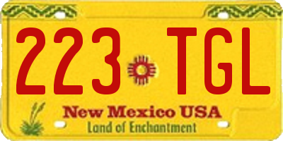 NM license plate 223TGL