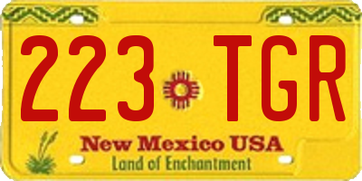 NM license plate 223TGR