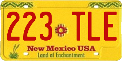 NM license plate 223TLE