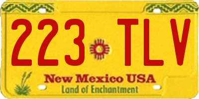 NM license plate 223TLV