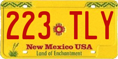 NM license plate 223TLY